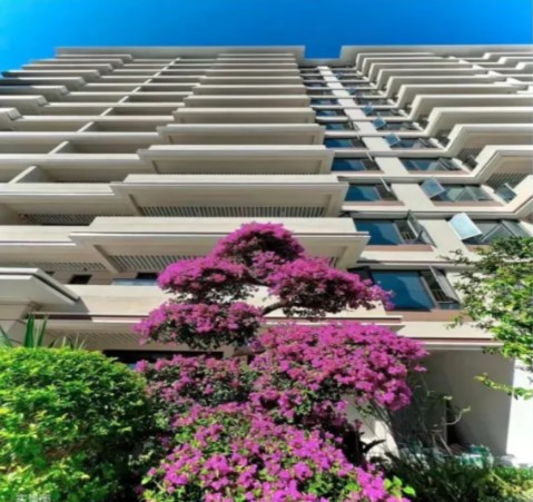 清水湾·云汀(清水湾M16住宅地块) 实景